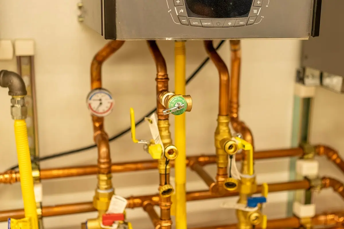 Licensed technician providing Emergency Plumbing for a homeowner in Reidland